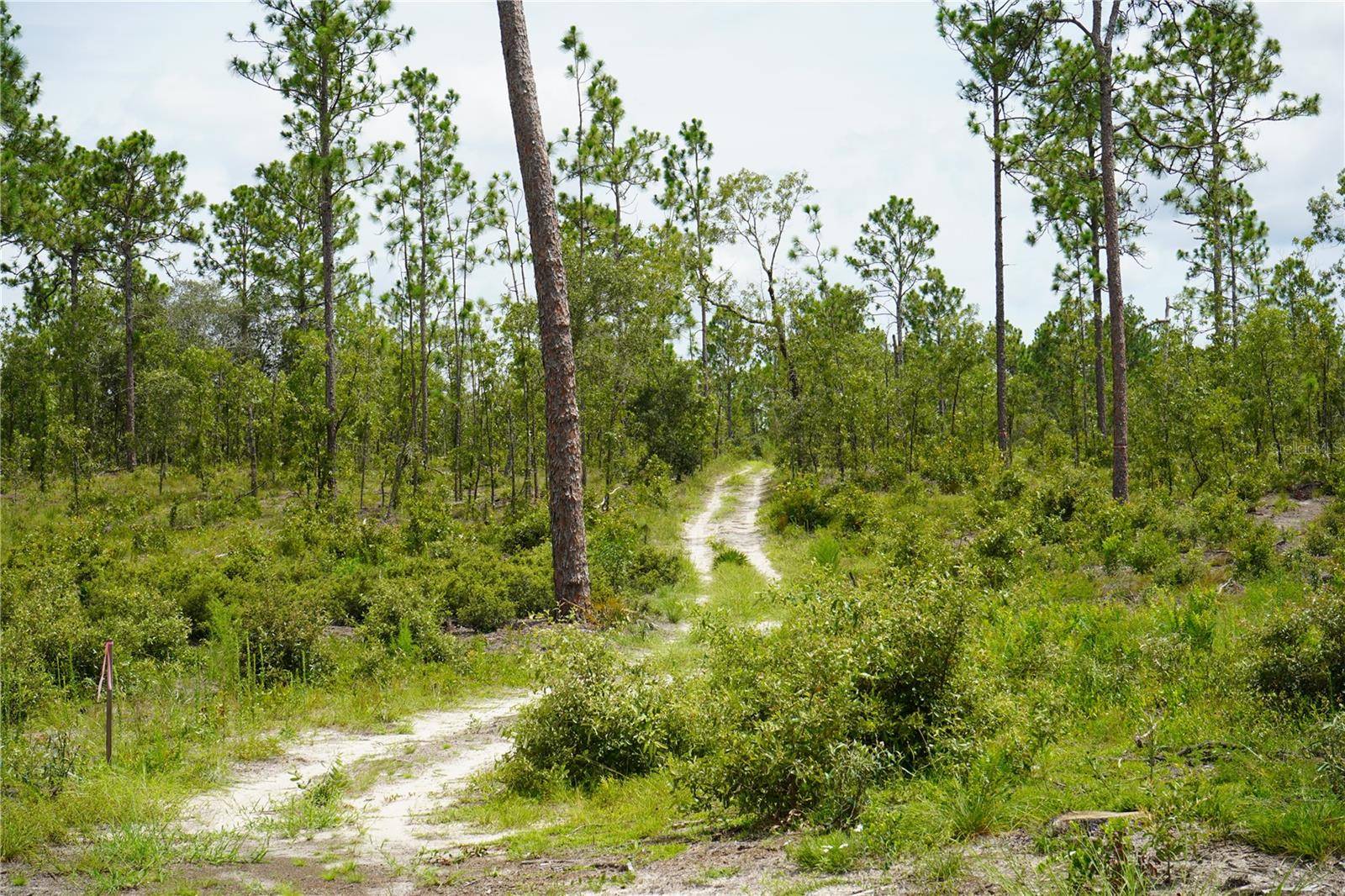 SE STATE ROAD 121 LOT A & B, Morriston, FL 32668