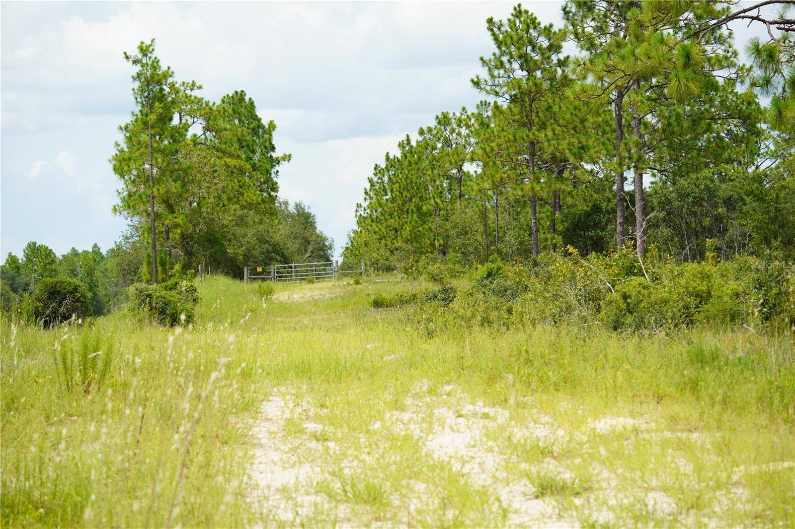 SE STATE ROAD 121 LOT C & D, Morriston, FL 32668