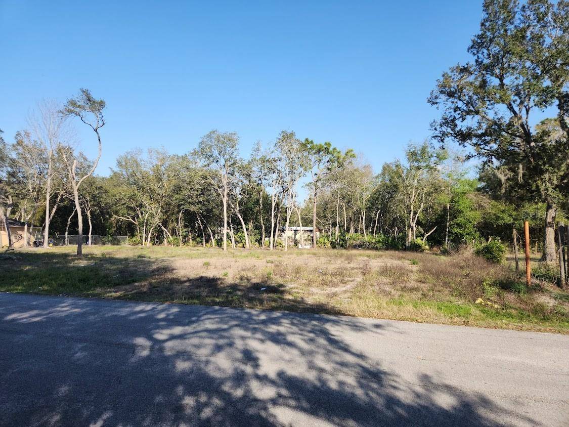 LOT 19 NW 119 TH CT, Ocala, FL 34482