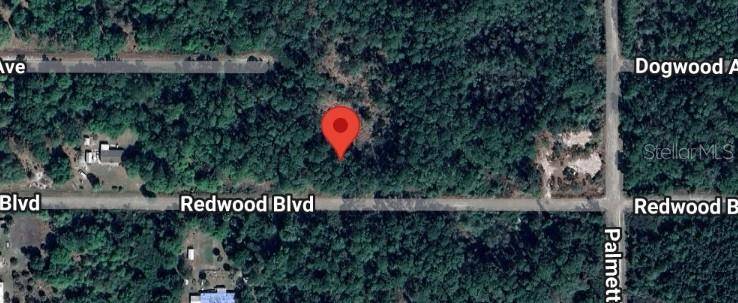 324 REDWOOD BLVD, Georgetown, FL 32139