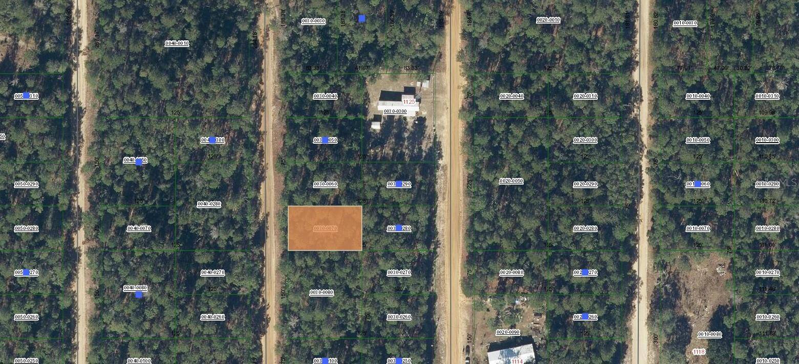 Lot 7 NORMAN AVE, Interlachen, FL 32148