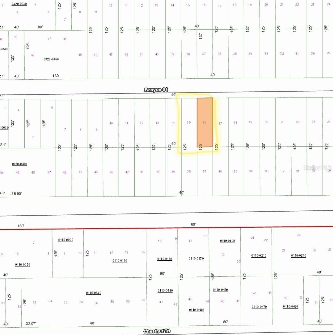 TBD BANYAN STREET, Interlachen, FL 32148