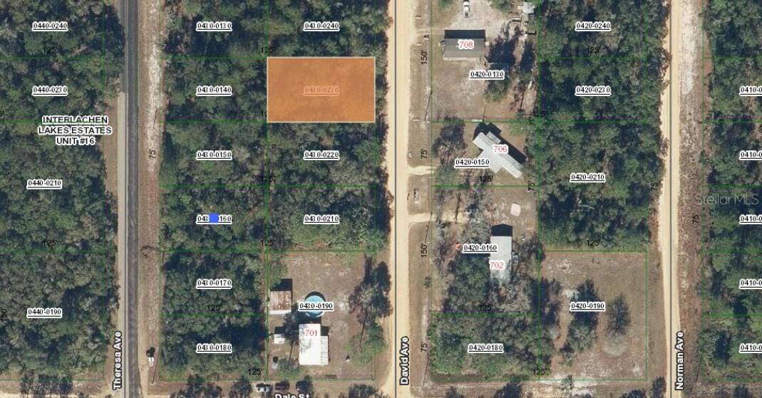 00 DAVID AVE, Interlachen, FL 32148