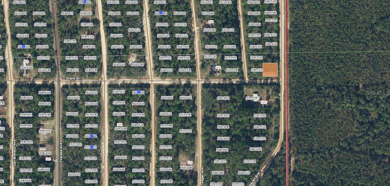 DIANE ST, Interlachen, FL 32148
