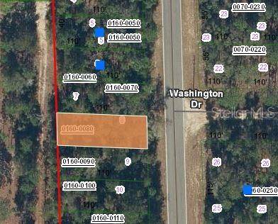 465 BADEN POWELL RD, Hawthorne, FL 32640