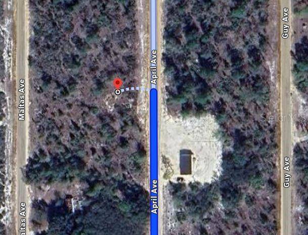 00 APRIL AVE, Interlachen, FL 32148