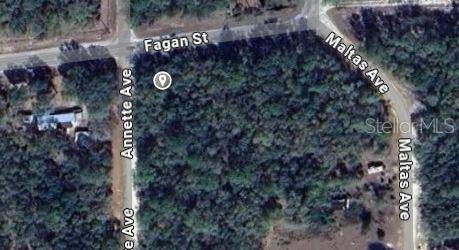 00 ANNETTE AVE, Interlachen, FL 32148