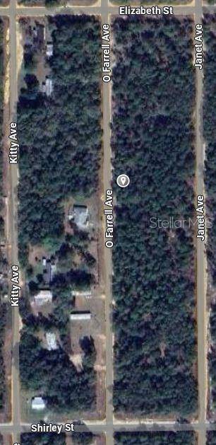 O FARREL AVE, Interlachen, FL 32148