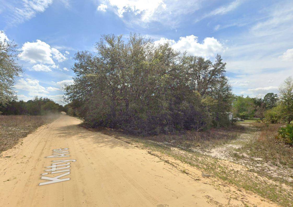 821 KITTY AVE, Interlachen, FL 32148