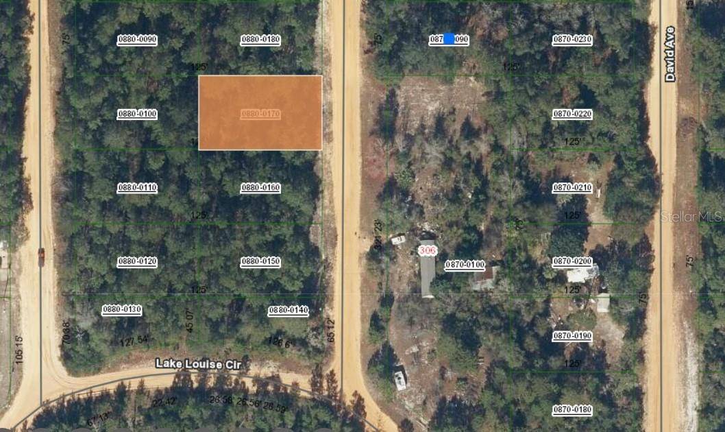 Lot 17 THERESA AVE, Interlachen, FL 32148