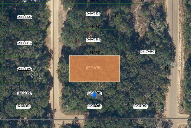 MARION AVE, Interlachen, FL 32148