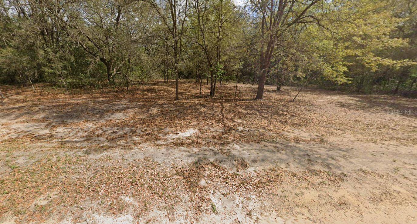 MARION AVE, Interlachen, FL 32148