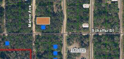 MARION AVE, Interlachen, FL 32148