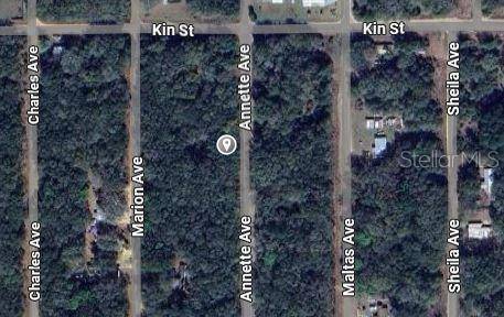 ANNETTE, Interlachen, FL 32148