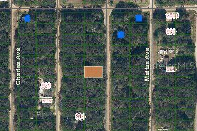ANNETTE, Interlachen, FL 32148