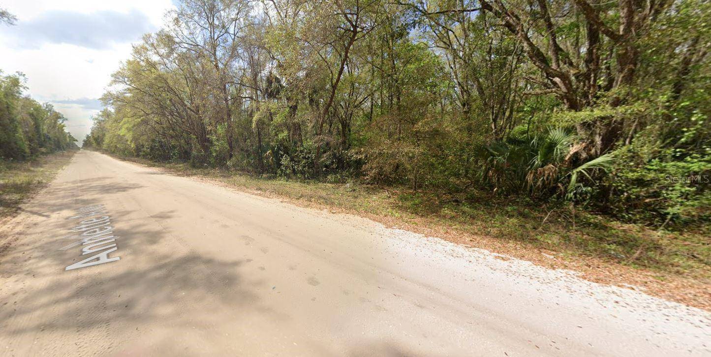ANNETTE, Interlachen, FL 32148