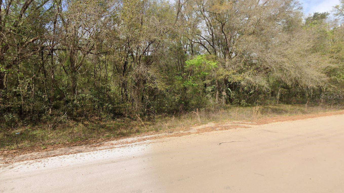 ANNETTE AVE, Interlachen, FL 32148