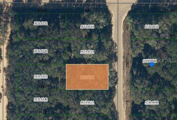 ANNETTE AVE, Interlachen, FL 32148