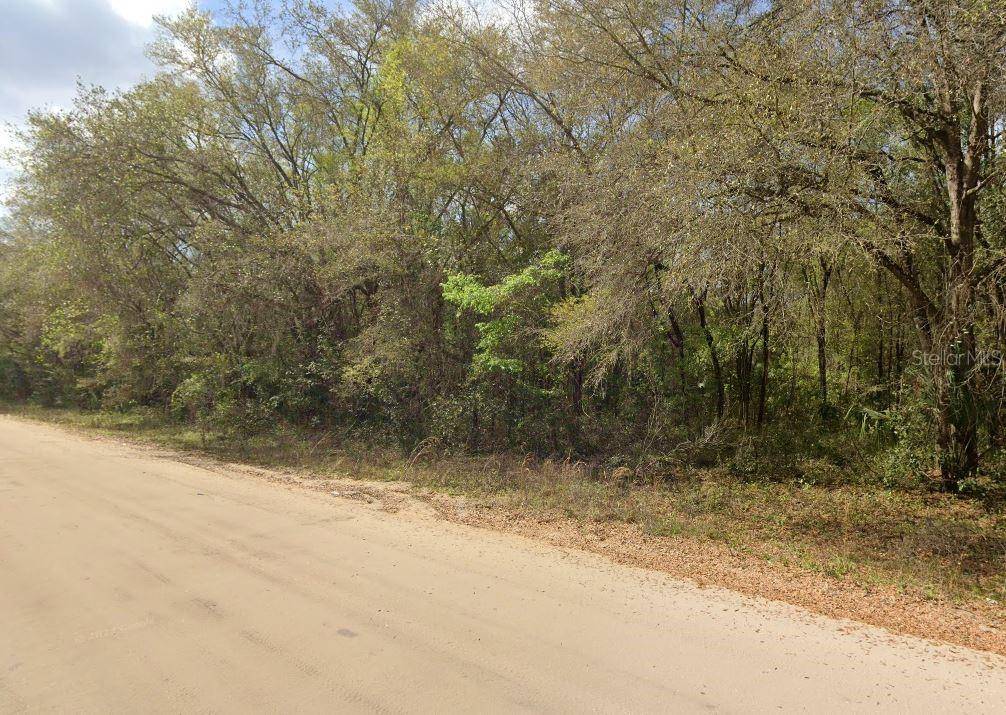 ANNETTE AVE, Interlachen, FL 32148