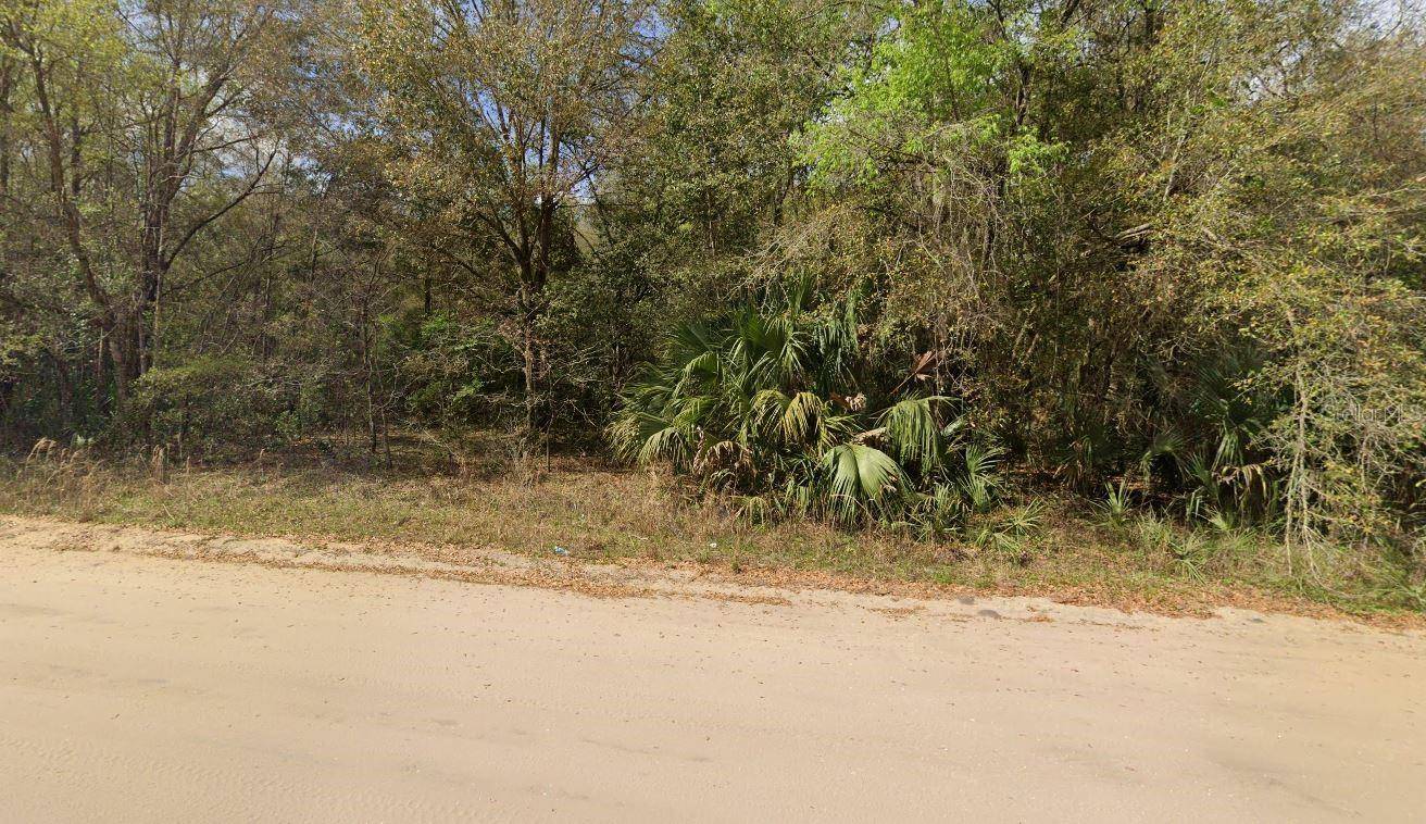ANNETTE AVE, Interlachen, FL 32148