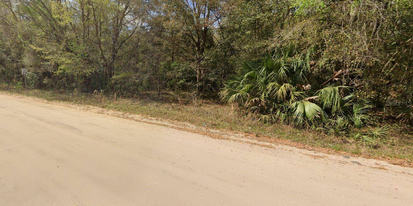 ANNETTE AVE, Interlachen, FL 32148