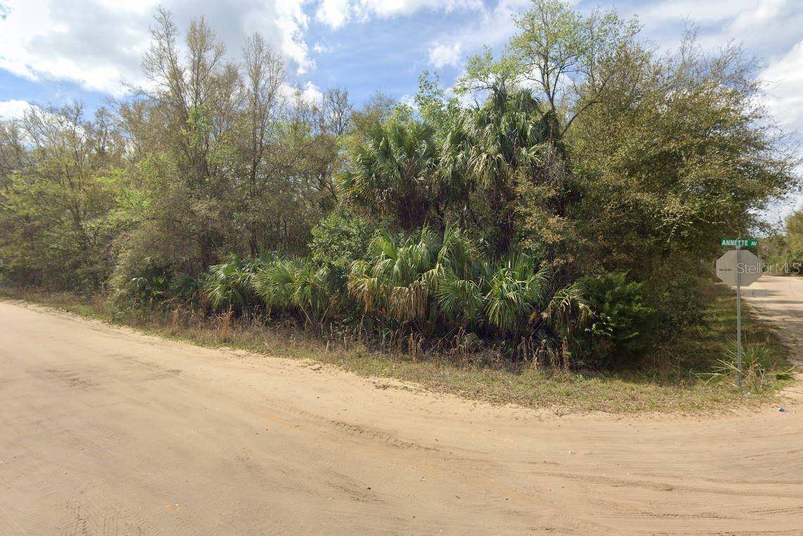ANNETTE AVE, Interlachen, FL 32148