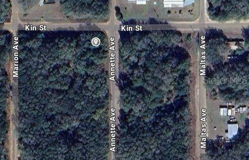 ANNETTE AVE, Interlachen, FL 32148