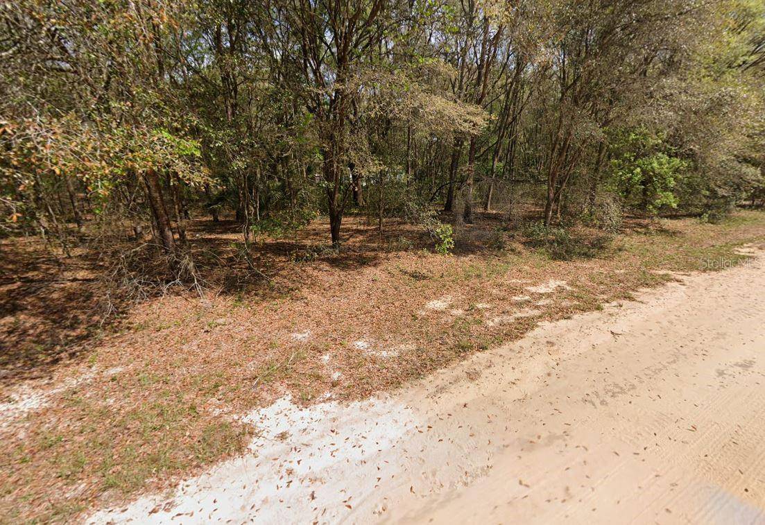 ANNETTE AVE, Interlachen, FL 32148
