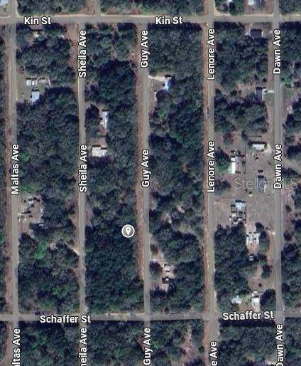 GUY AVE, Interlachen, FL 32148