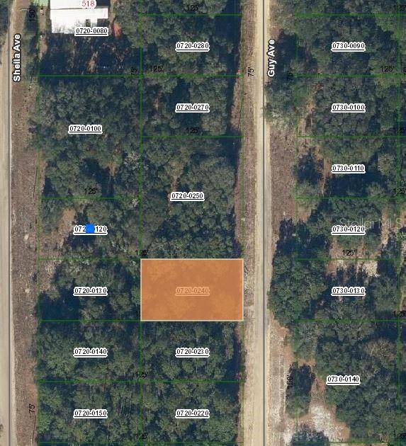 GUY AVE, Interlachen, FL 32148