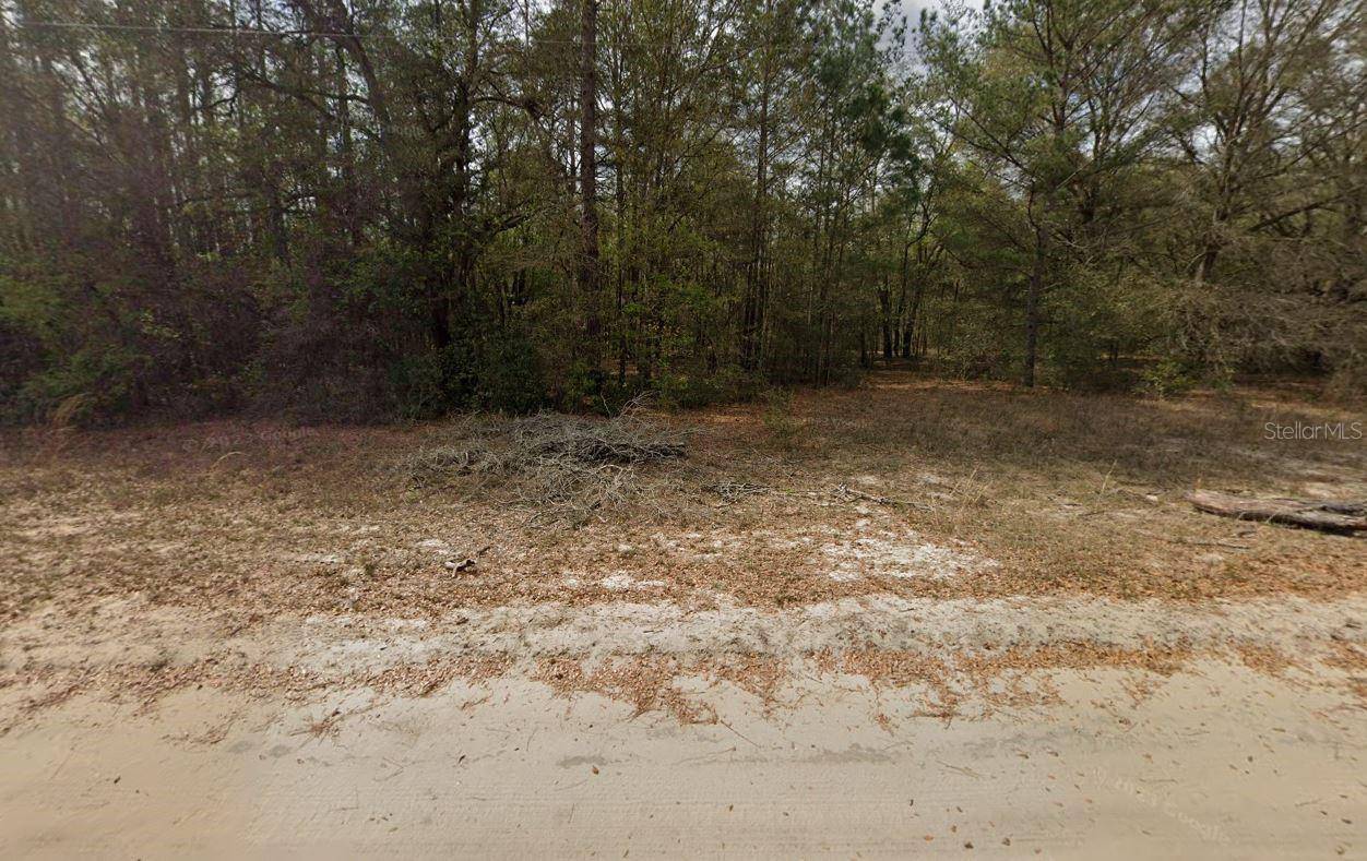 GUY AVE, Interlachen, FL 32148