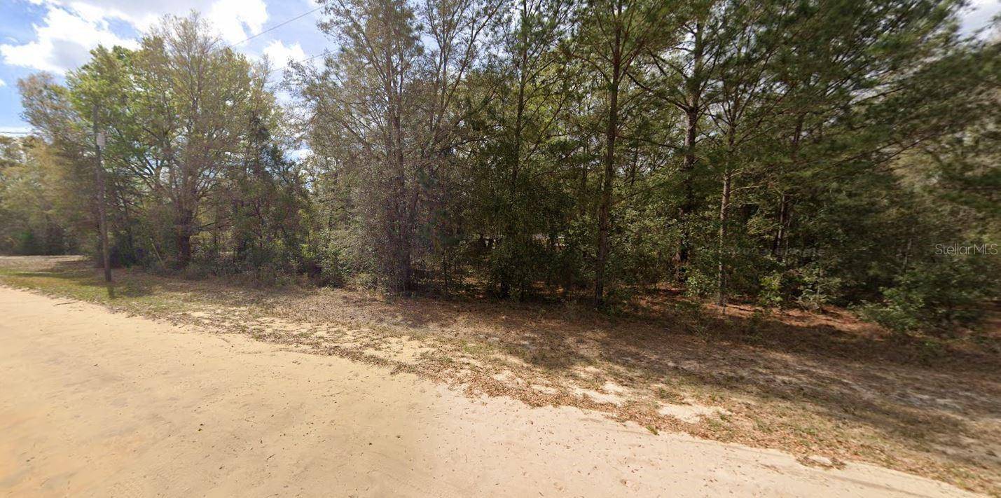 LENORE AVE, Interlachen, FL 32148