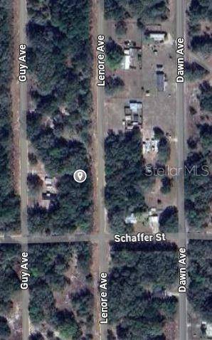 LENORE AVE, Interlachen, FL 32148