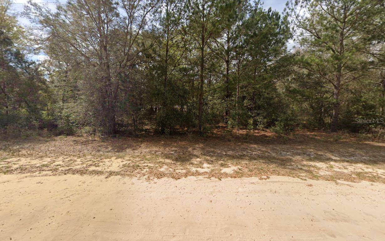 LENORE AVE, Interlachen, FL 32148
