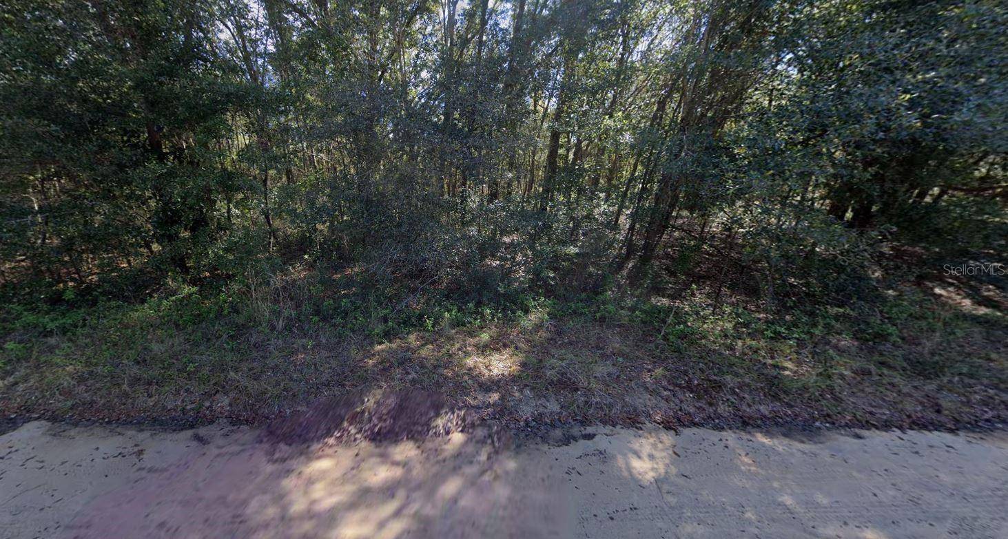 LLOYD DR, Interlachen, FL 32148