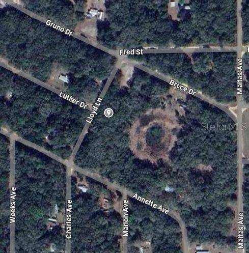 LLOYD DR, Interlachen, FL 32148