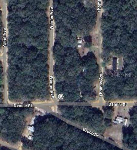 00 DENISE ST, Interlachen, FL 32148