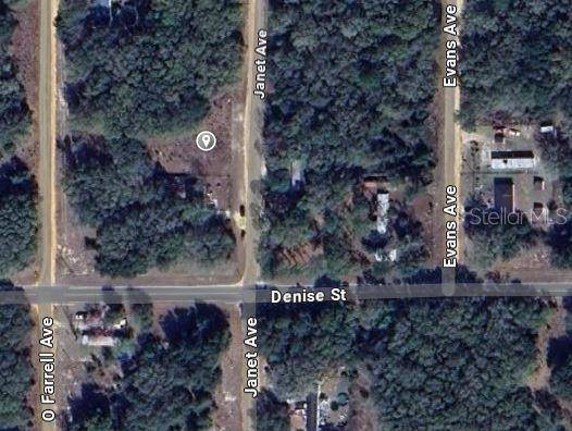 905 JANET AVE, Interlachen, FL 32148