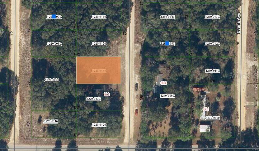 905 JANET AVE, Interlachen, FL 32148