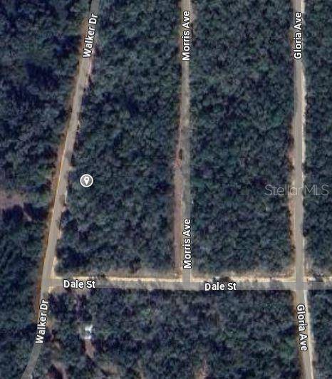 00 WALKER DR, Interlachen, FL 32148