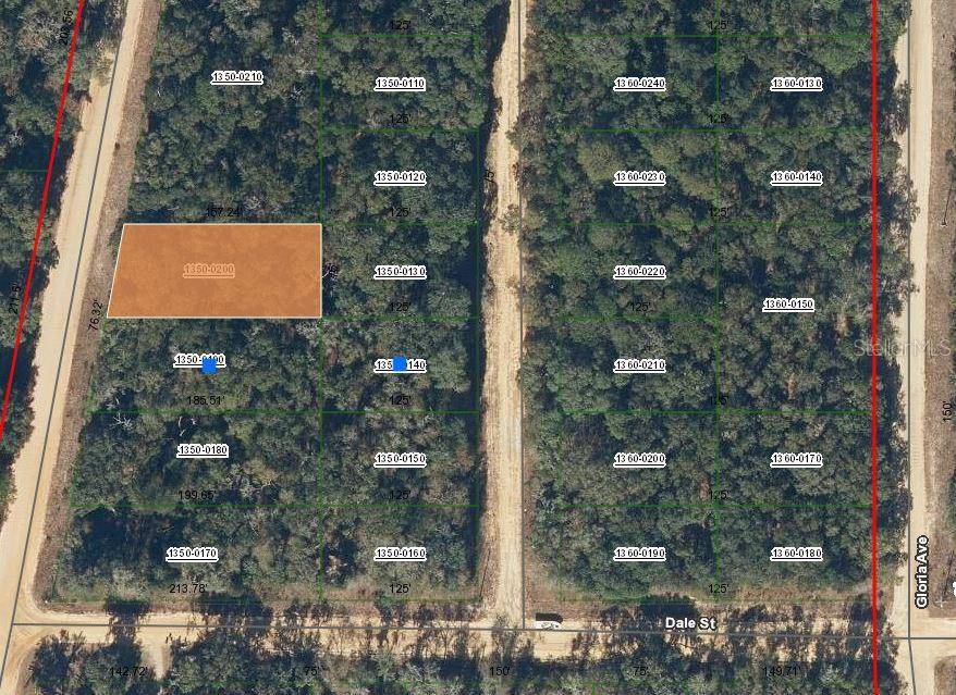 00 WALKER DR, Interlachen, FL 32148