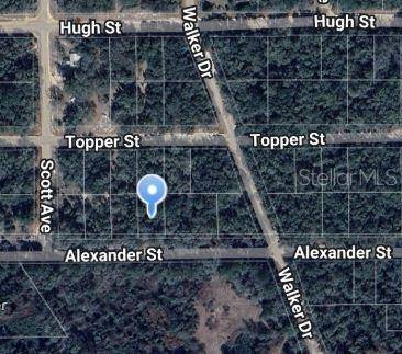 00 ALEXANDER ST, Interlachen, FL 32148