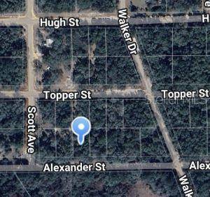 00 ALEXANDER ST, Interlachen, FL 32148