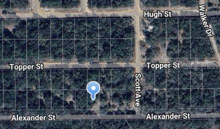 ALEXANDER ST, Interlachen, FL 32148