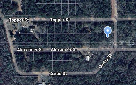 ALEXANDER ST, Interlachen, FL 32148