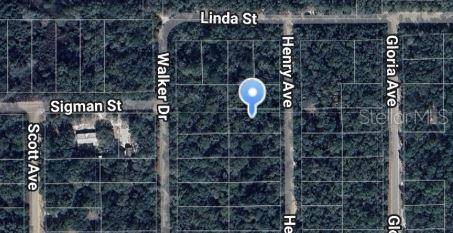 HENRY AVE, Interlachen, FL 32148