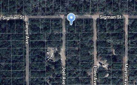 JOEL AVE, Interlachen, FL 32148