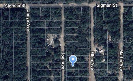 JOEL AVE, Interlachen, FL 32148