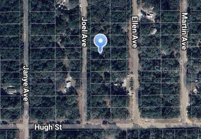 JOEL AVE, Interlachen, FL 32148