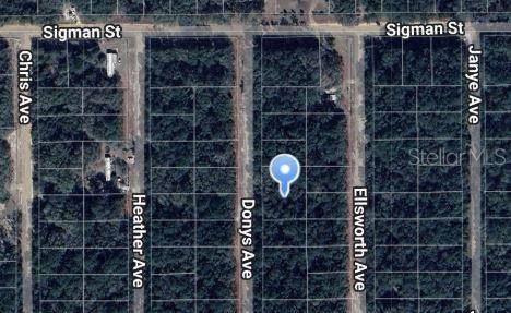 DONYS AVE, Interlachen, FL 32148